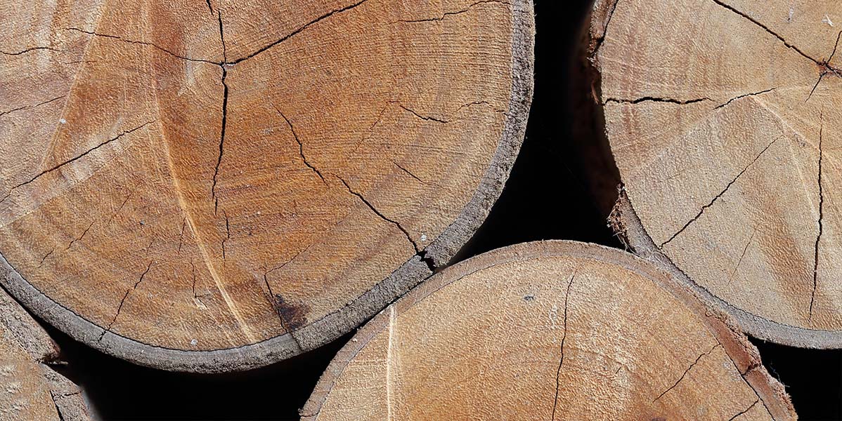 真材實(shí)料 真材實(shí)料